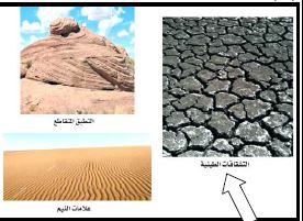 التراكيب