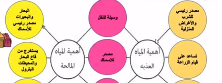 نشاط 2