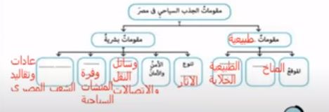 نشاط 5