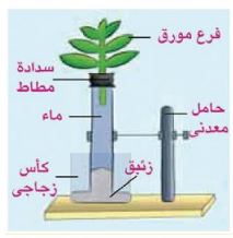 تجربة تلميذ