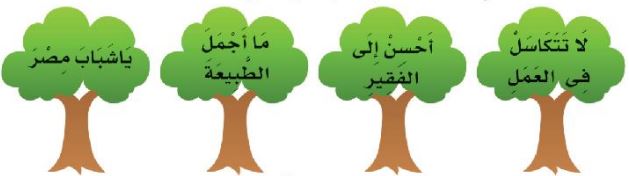 شجيرات