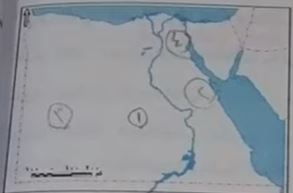 الواحات