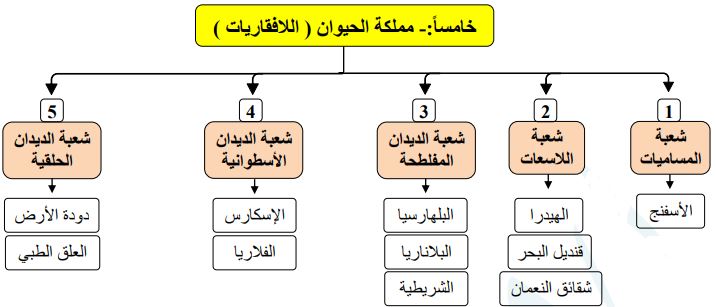 مملكة الحيوان
