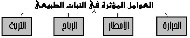 العوامل المؤثرة في النبات