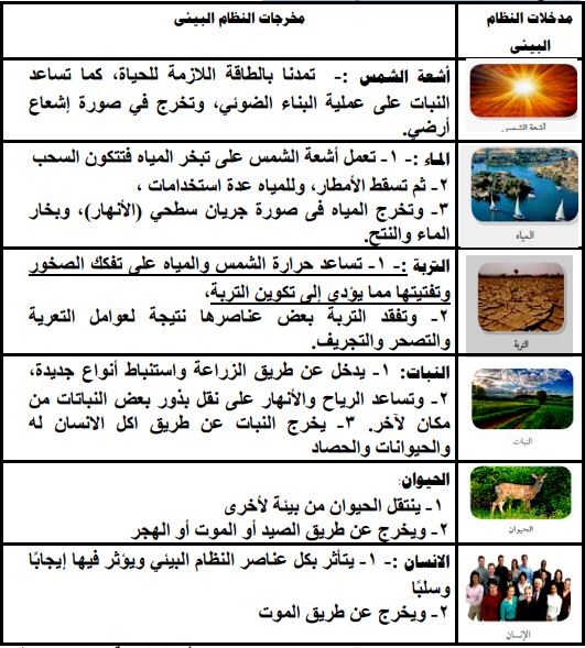 مخرجات النظام البيئي