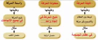 المفاصل