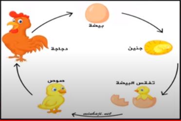 صورة