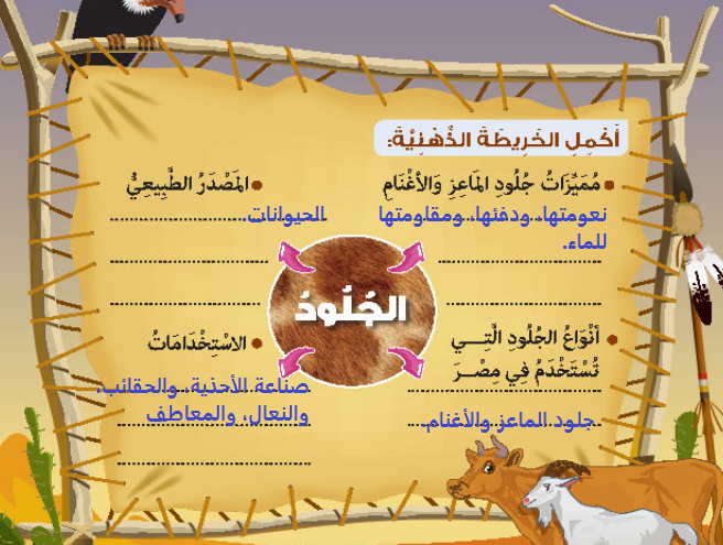 صورة