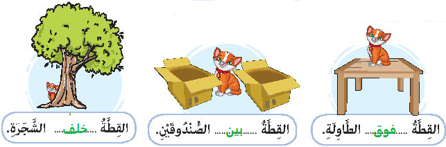 صورة