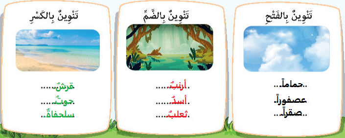 صورة