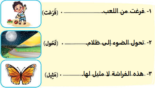 صورة