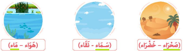 صورة