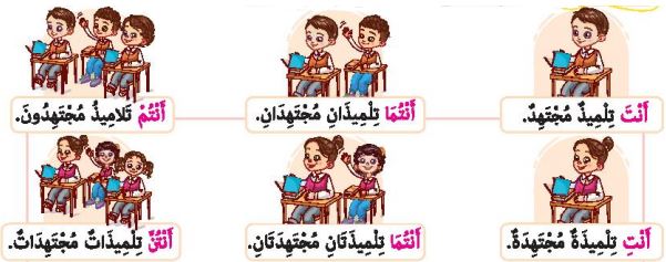 صورة