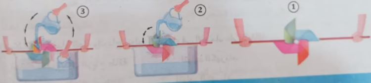 صورة