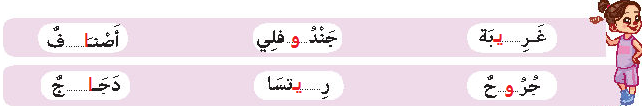 صورة