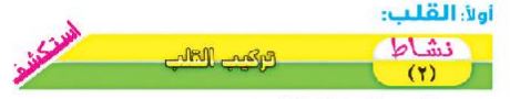 نشاط2