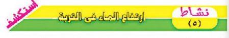 نشاط